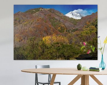 Colourful autumn forest meets wintry volcanic peak