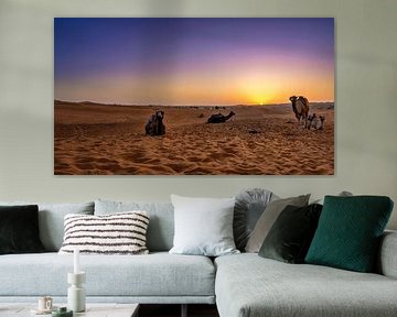 Dromedaris bij zonsopgang in de Merzougan-woestijn van Rene Siebring