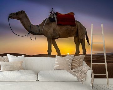 Drommedaris bij zonsondergang in de Merzouga-woestijn van Rene Siebring