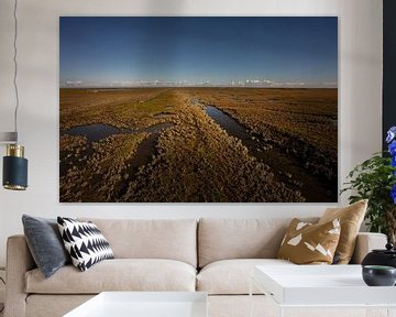 Ausgedehnte Salzwiesen an der Groninger Wattenküste von Bo Scheeringa Photography