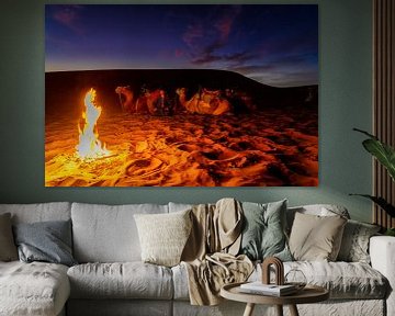 Moroccan traveller with his camels by the campfire by Rene Siebring