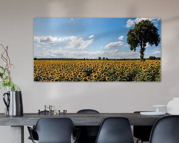 Veld met zonnebloemen in Toscane. van Bert Branje