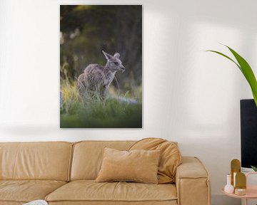 Wilde Kangaroo in het natuurgebied de Blue Mountains Australie van Ken Tempelers