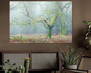 Forêt de conte de fées dans la brume sur Henk Meeuwes