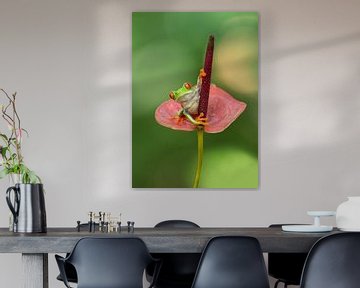 Frosch auf einer Blume von Dick van Duijn