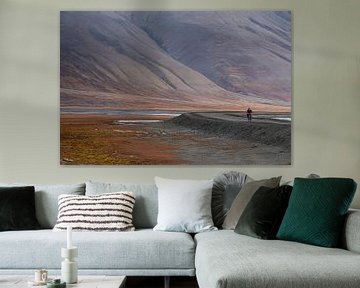 Lonely cyclist on Svalbard by Ed Klungers