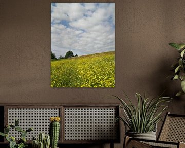 Een bloeiend veld onder een bewolkte hemel van Claude Laprise