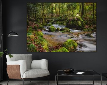 Ruisseau de rêve dans une forêt de conte de fées 2, exposition longue | Vosges, France sur Merlijn Arina Photography