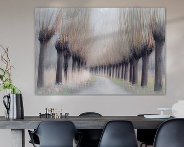 Pollard willows in winter by Els F.