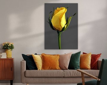 Yellow Rose Abstract Lowpoly by Yoga Art 15
