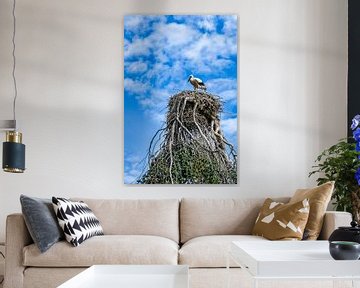 Storch in seinem Nest auf einem schönen Baum gegen blauen Himmel von pixxelmixx