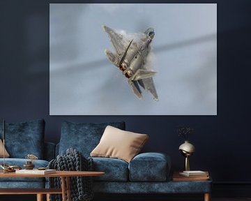 USAF Lockheed Martin F-22 Raptor stealth fighter. van Jaap van den Berg