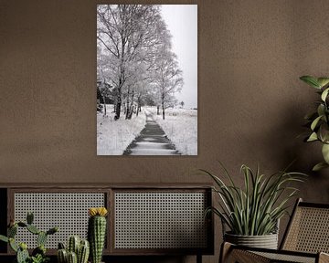 Winters landschap in Nederland van Photographer_Kathinka
