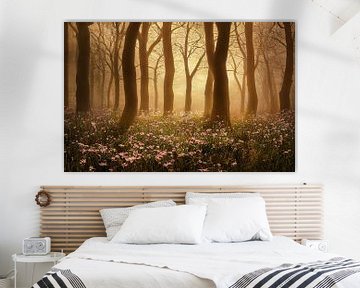 Sonnenaufgang im Wald, Art Illustration von Animaflora PicsStock