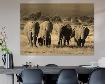 Amboseli Elephants by Roland Smeets