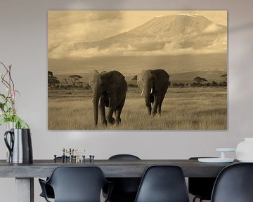 Zwei Amboseli Kilimanjaro Elefanten
