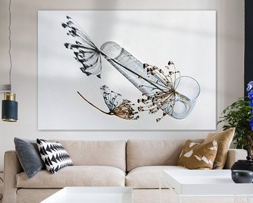Dille bloemschermen met zaden in een glazen vaas werpen schaduwen op een grijze wit van Maren Winter
