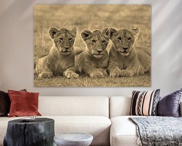 Tree Lion Cubs