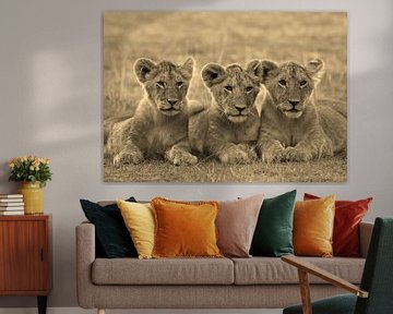 Tree Lion Cubs van Roland Smeets