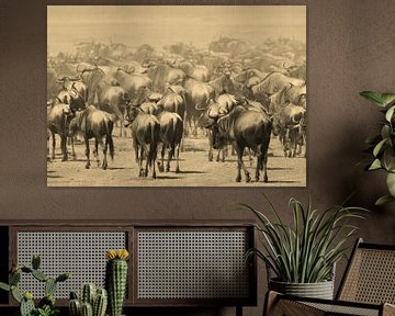 Wildebeest migration Ngorongoro van Roland Smeets