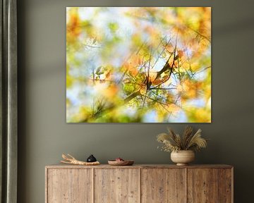 Abstracte herfstachtergrond, blik in een boom met kleurrijk verlof van Maren Winter