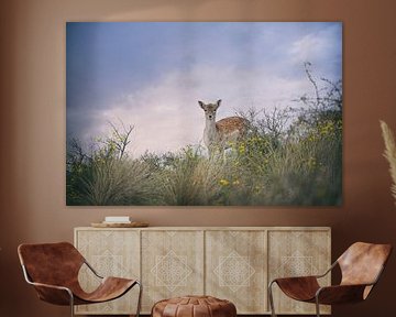 beautiful deer in colourful dunes