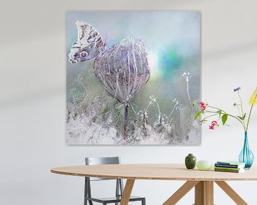 Einzigartige Eisblumen von Mimone
