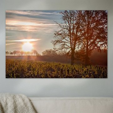 Landscape at sunrise