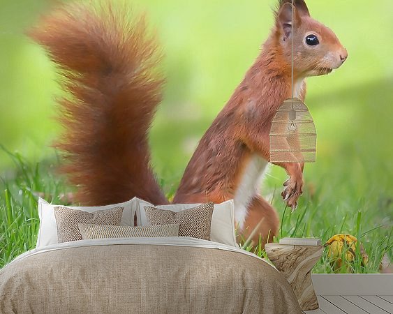 Aperçu de la chambre