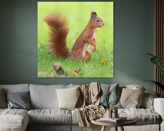 Aperçu de la chambre