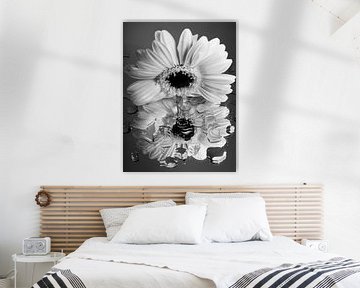 Zwart - Wit: Witte Gerbera "kijkt" naar haar vervormde reflectie van Marjolijn van den Berg