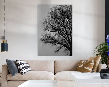Baum in Schwarz und Weiß von The Art Page Of MG