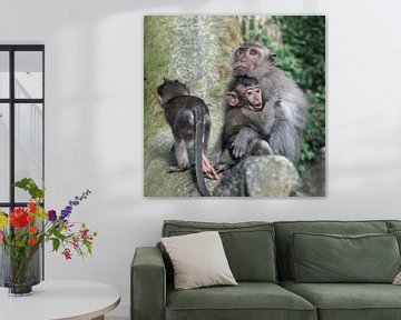 Mother monkey with baby 2 by t.ART