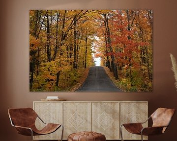 A country road in autumn by Claude Laprise