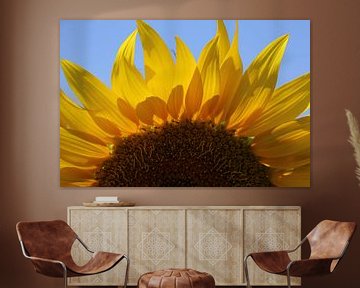 Sunny Sunflower | Ein schöner Anblick ... eine Sonnenblume vor einem blauen Himmel von Wil Vervenne