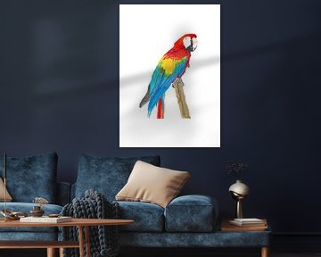 Ara Parrot rood blauw PL van DigitalArtForYou