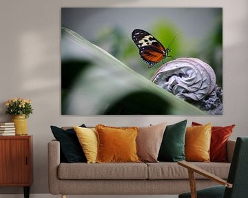 Passionsblume Schmetterling auf frischem Hintergrund von Pascal Muller