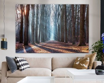 Awesome light - Geweldig licht van Kevin Woelders