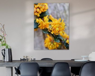 Grandioos Geel | Een prachtige tak met gele bloementjes van Wil Vervenne