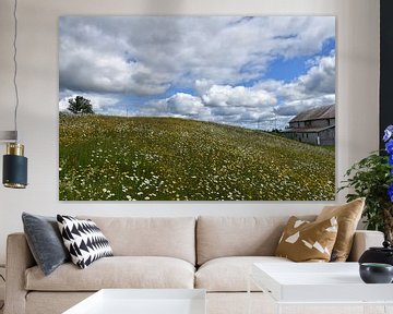 A blooming field under a cloudy sky by Claude Laprise