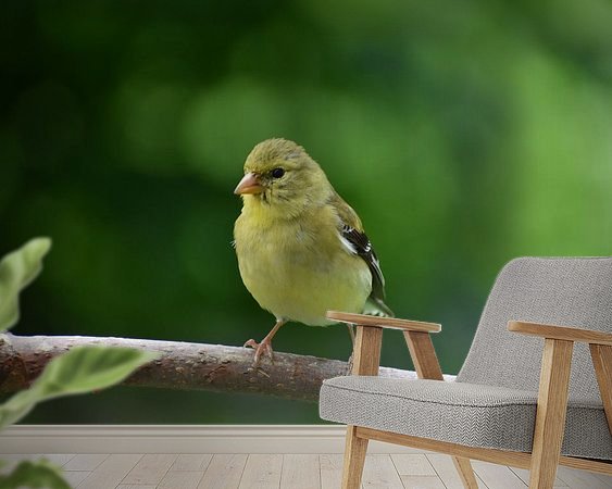 Voorbeeld van het werk in een kamer