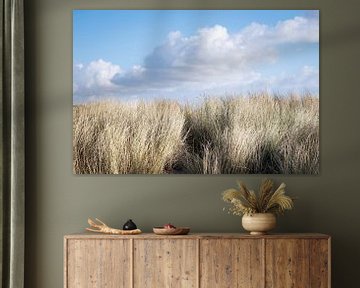 Terschelling with dunes, marram grass and clouds by Paula van den Akker