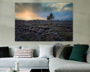 Boom op de bevroren heide van peterheinspictures