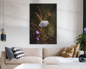 Bloemen, Planten en Bomen Serie van Pitkovskiy Photography|ART