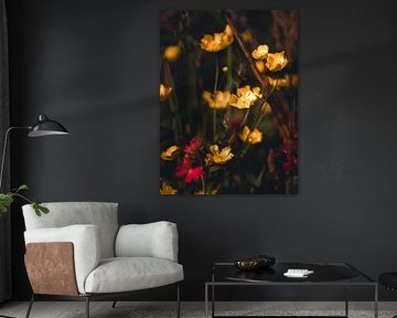 Blumen, Pflanzen und Bäume Serie