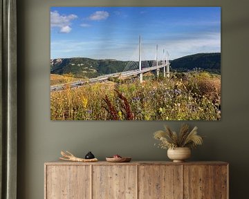 Viaduc de Millau - Frankrijk