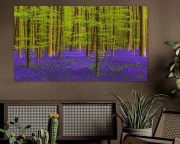 Tapis violet sur Wilderlicht