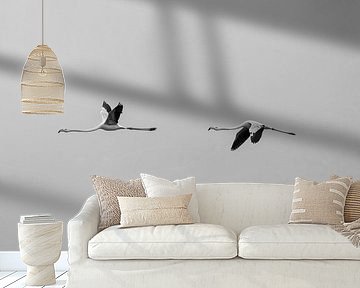 Two flamingos | flying | peacefull | minimal