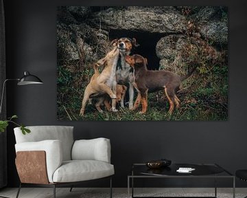 De liefde voor een zwefhond van haar puppies van Bart Hageman Photography