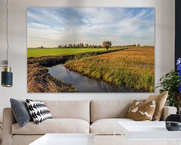 Paysage coloré de polder à Alblasserwaard, Bleskensgraaf